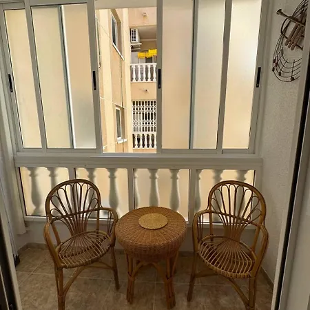 Vicente Casa 119 公寓 托雷维耶哈